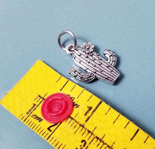 Cactus with Flower Charm – Silver Southwestern Jewelry