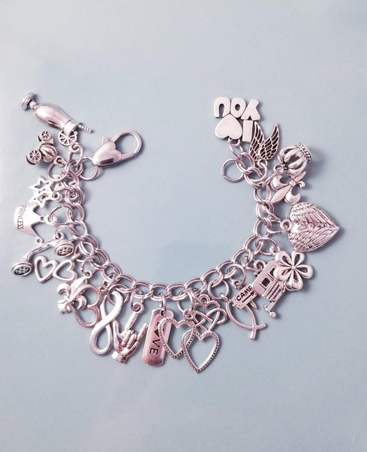 Ultimate Chunky Charm Bracelet - Silver Stainless Steel with Premium Charm Collection