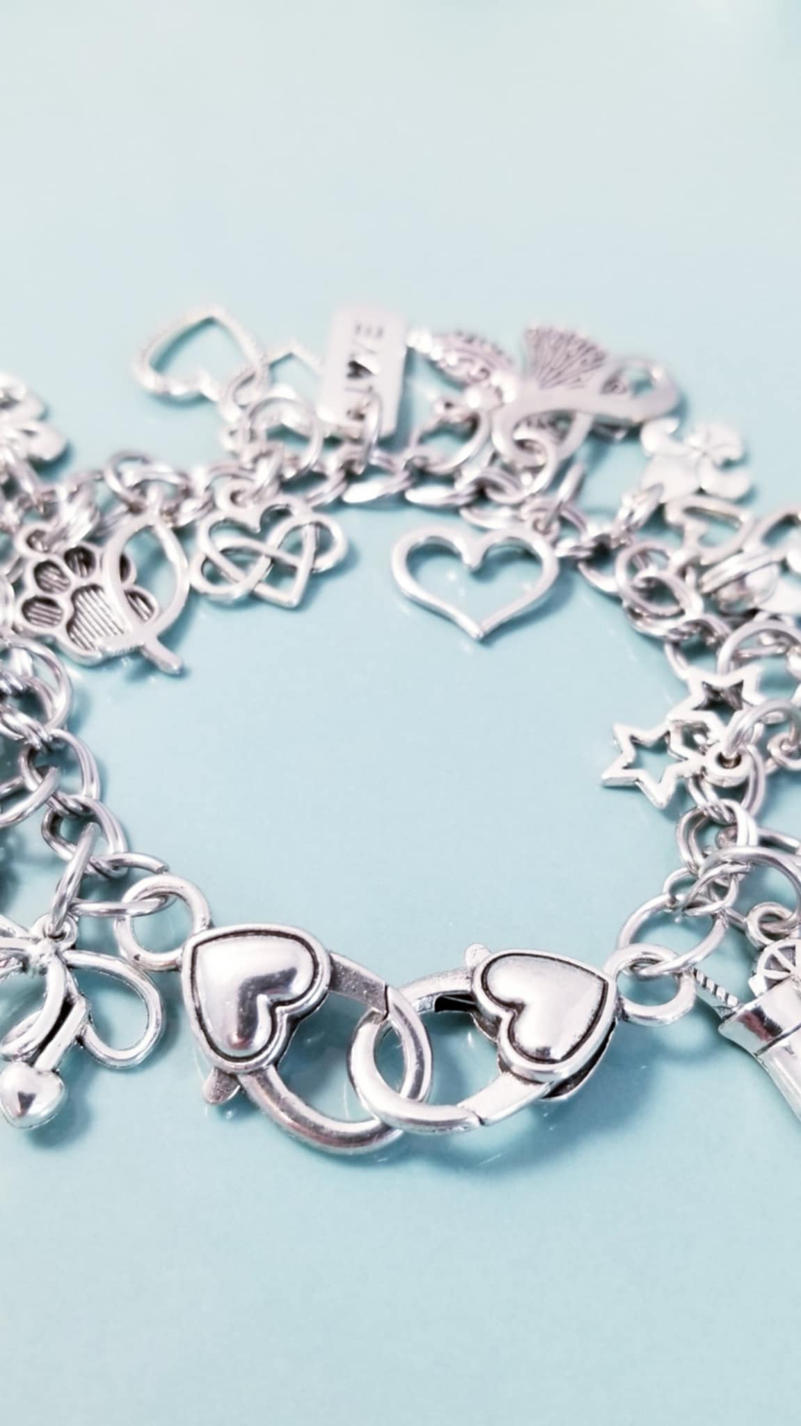 Sz 8 Inch Stainless Steel Charm Bracelet with Heart Clasp – Princess & Love Loaded Charm Collection