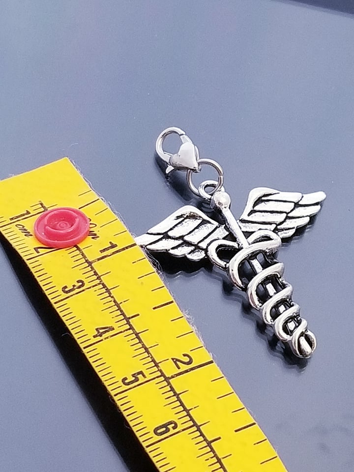 Medical Charm/ RN CNA NP Charm / Heart Lobster Clasp /Clip On image 1